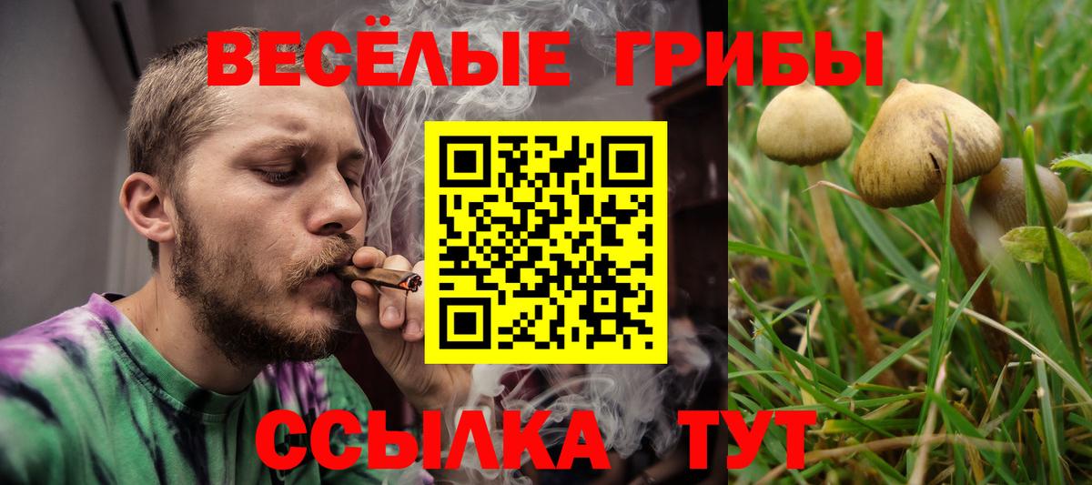 Псилоцибиновые грибы мухоморы  Псилоцибиновые грибы мицелий  Вход с VPN  Мончегорск 