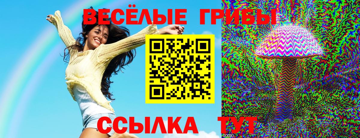 Галлюциногенные грибы прущие грибы Мончегорск